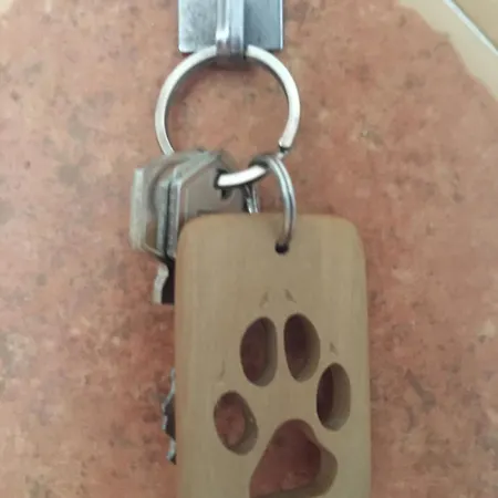 Apartamento La Furmumecha *