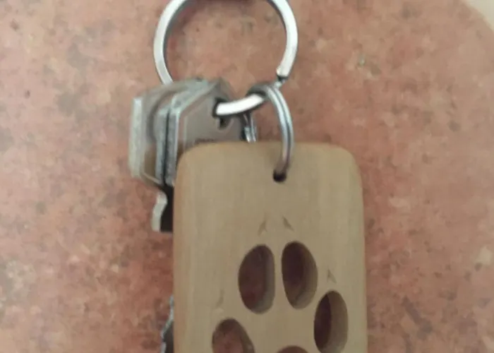 Апартаменты La Furmumecha *